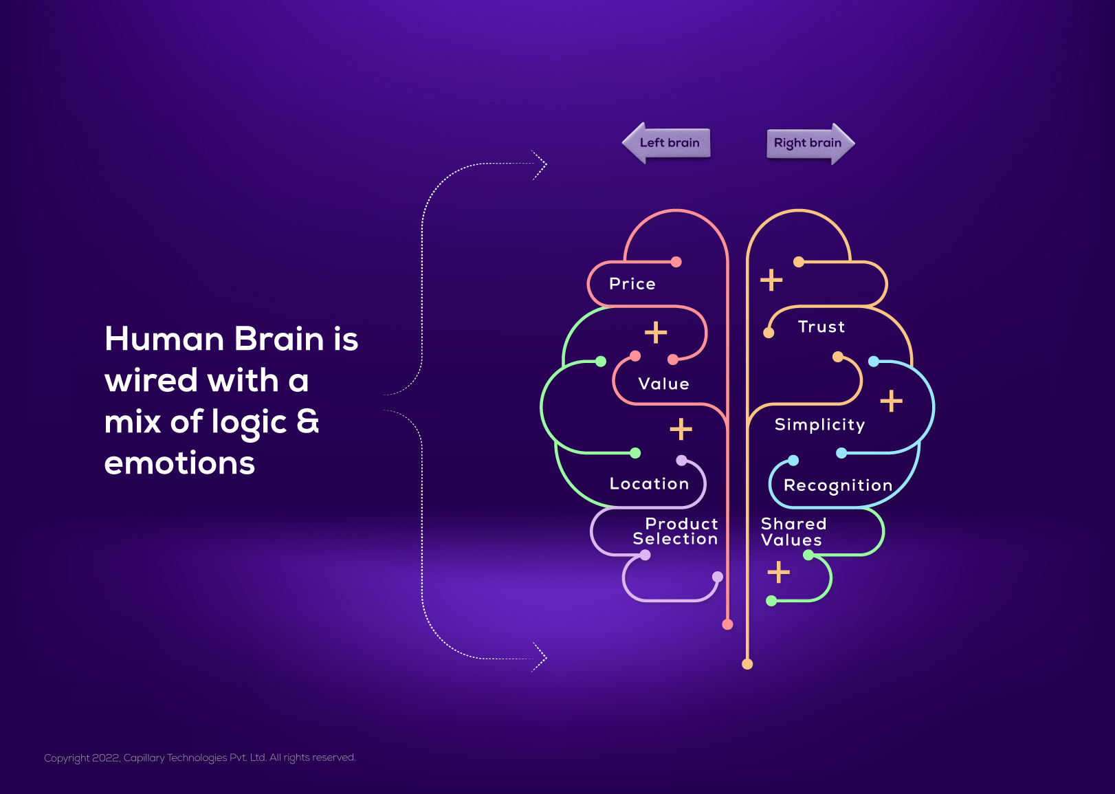 How emotions & logics work for human brain