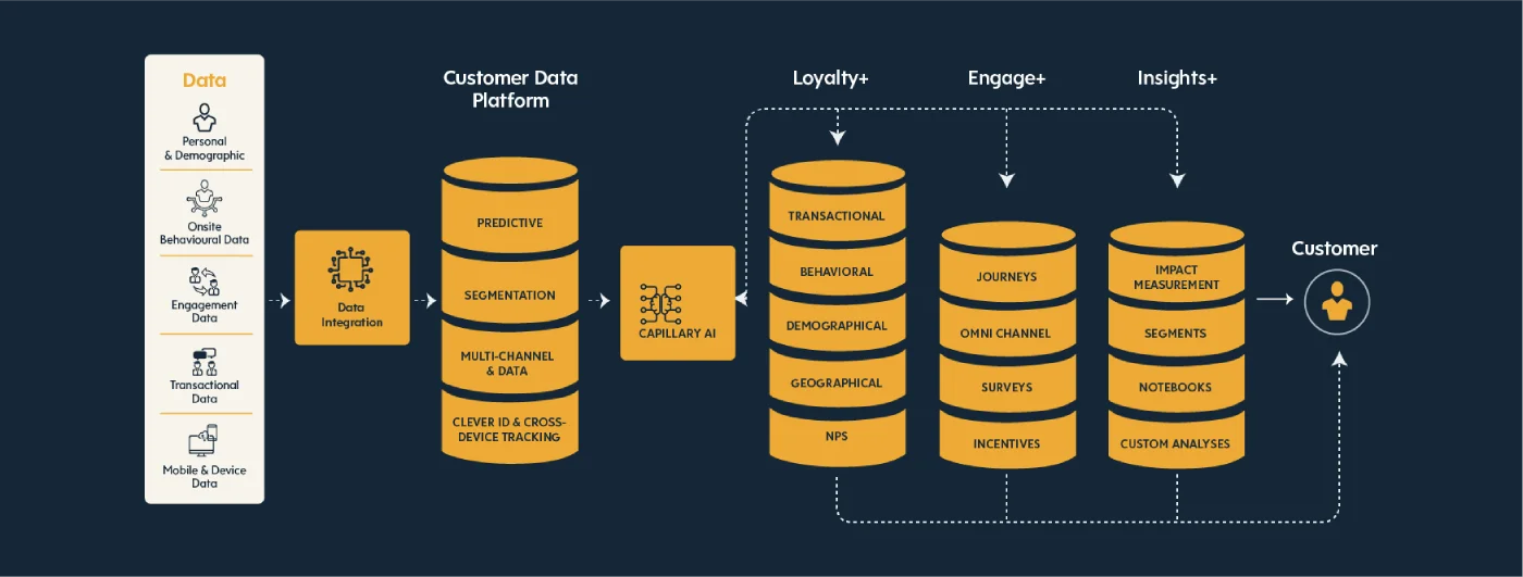 cdp-lpm-infographic