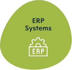 ERP Systems